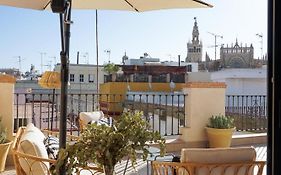 Cathedral Sevilla Views